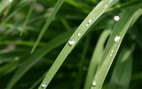 电视机搜索节目怎么办,锅电视机怎么搜索节目